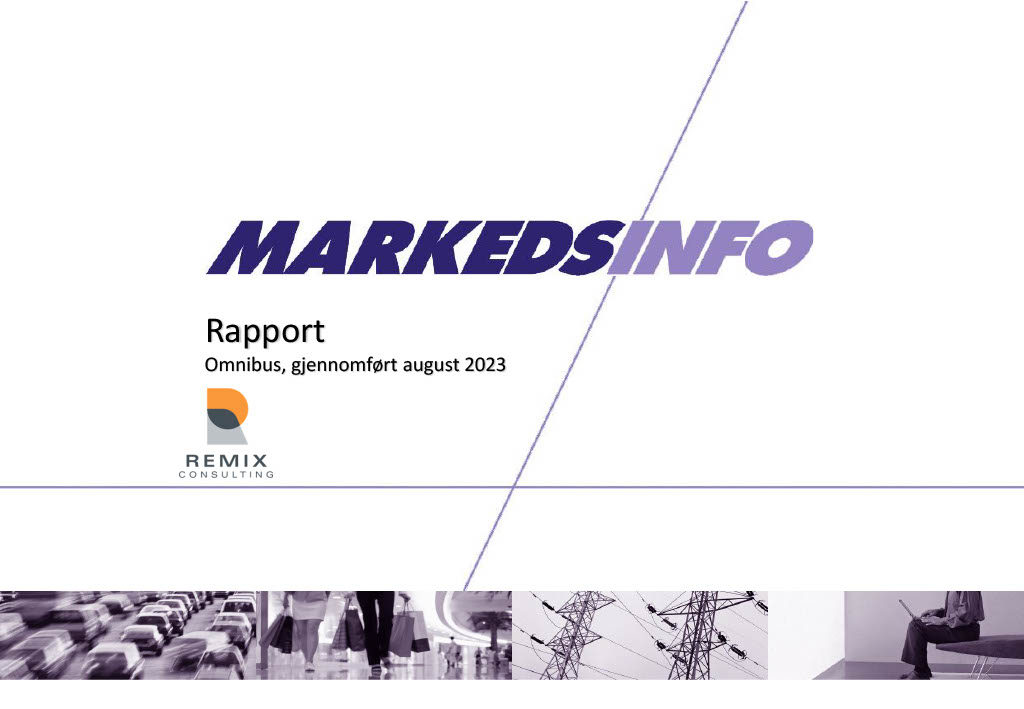 Rapport- Remix Consulting - august 20231024_1